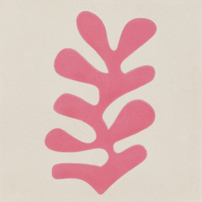 Calu Matisse Mix Color