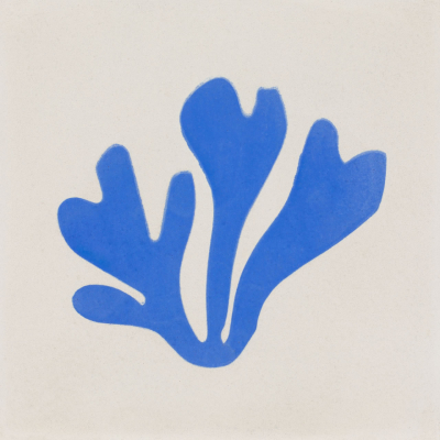 Calu Matisse Mix Color