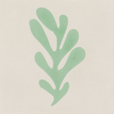 Calu Matisse Mix Color
