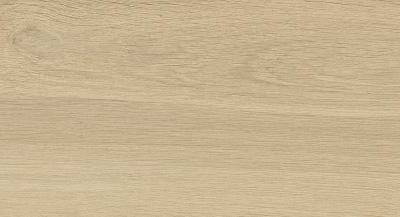 Fuji Khaki MA