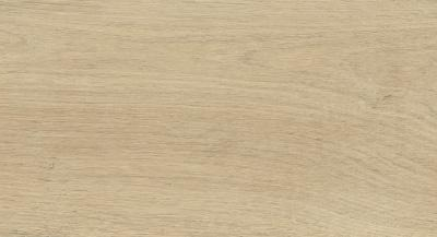 Fuji Khaki MA