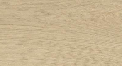 Fuji Khaki MA