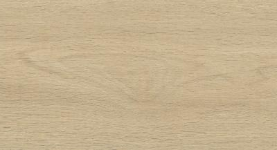 Fuji Khaki MA
