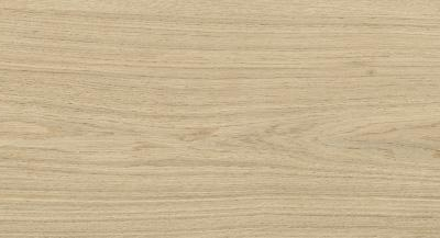 Fuji Khaki MA