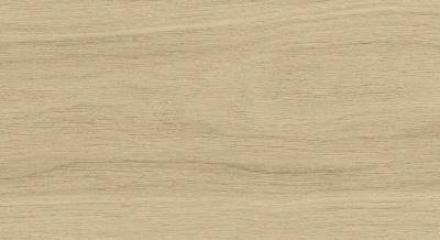 Fuji Khaki MA