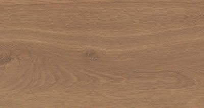 Garda Camel EXT