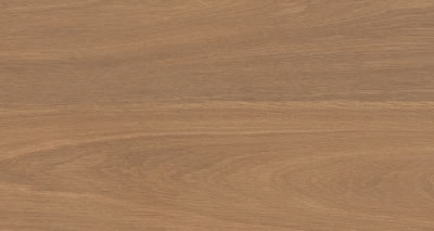 Garda Camel EXT