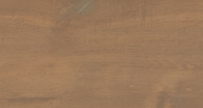 Garda Camel EXT