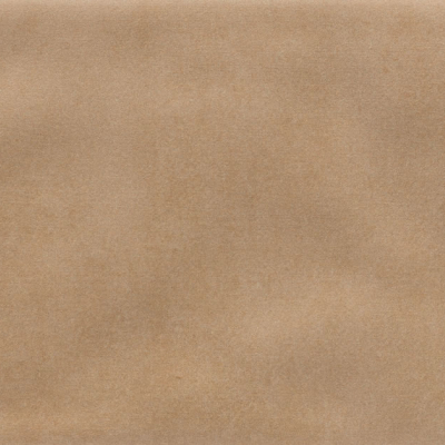 Iris Camel MA