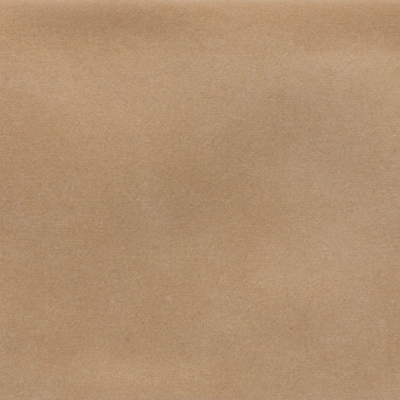 Iris Camel MA