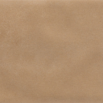 Iris Camel MA