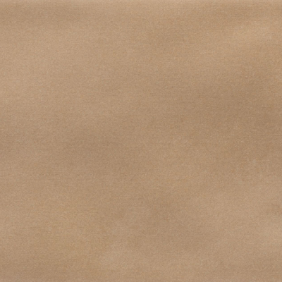 Iris Camel MA