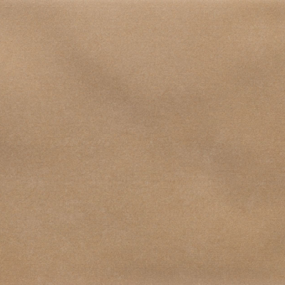 Iris Camel MA