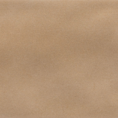 Iris Camel MA