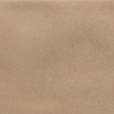 Iris Camel MA