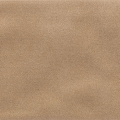 Iris Camel MA
