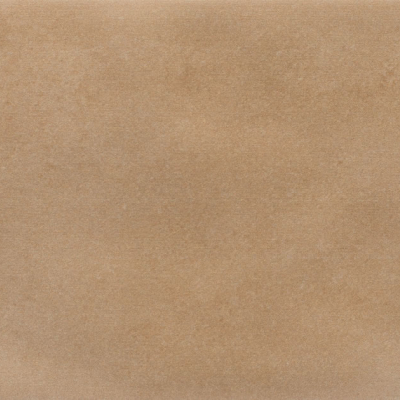 Iris Camel MA