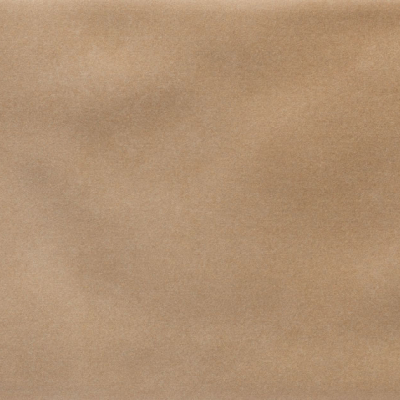 Iris Camel MA