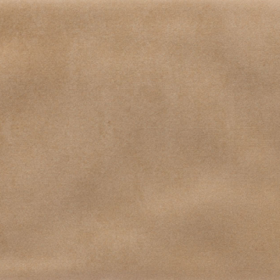 Iris Camel MA