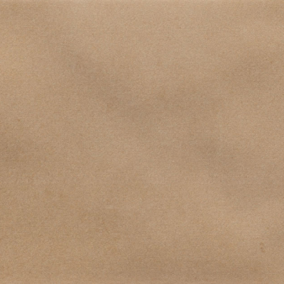 Iris Camel MA