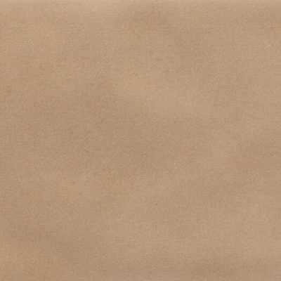 Iris Camel MA