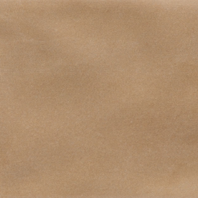Iris Camel MA