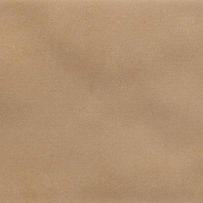 Iris Camel MA