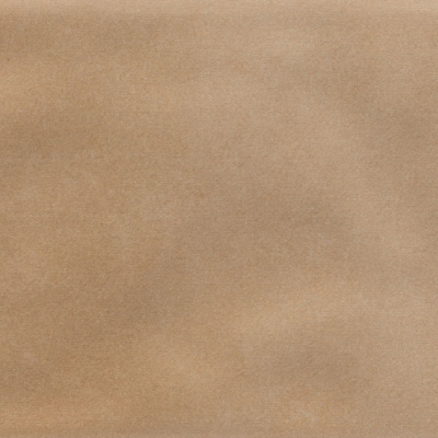 Iris Camel MA