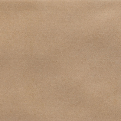 Iris Camel MA