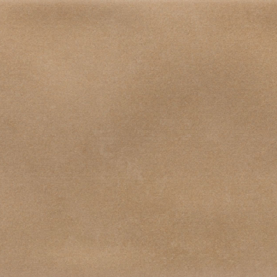 Iris Camel MA