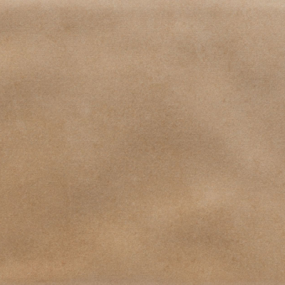 Iris Camel MA