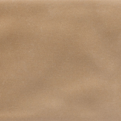 Iris Camel MA