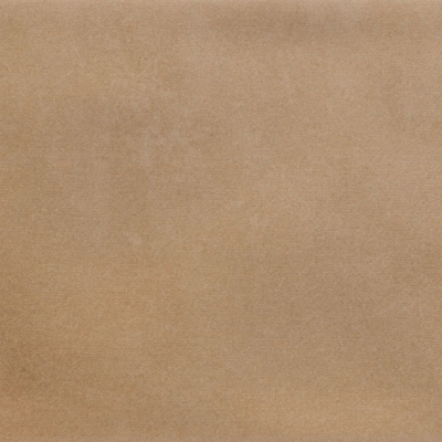 Iris Camel MA