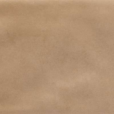 Iris Camel MA