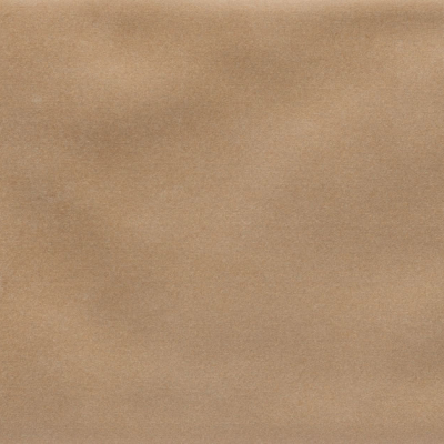 Iris Camel MA