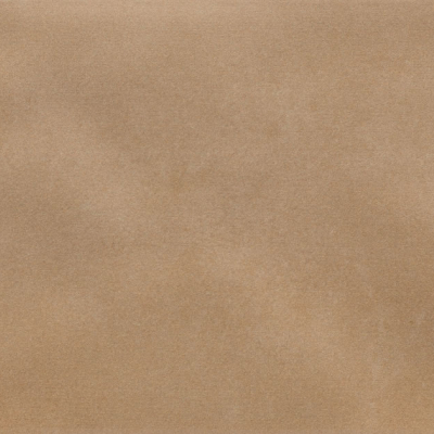 Iris Camel MA