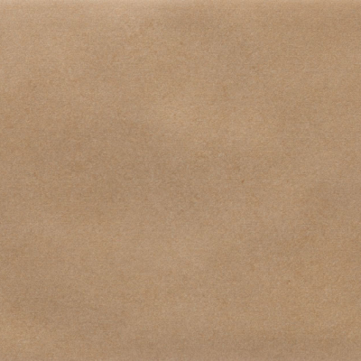 Iris Camel MA