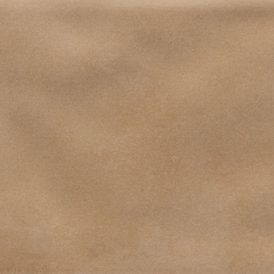 Iris Camel MA