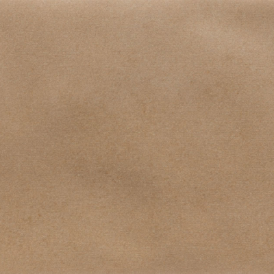 Iris Camel MA