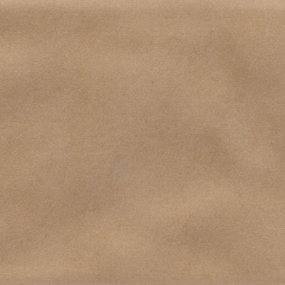 Iris Camel MA
