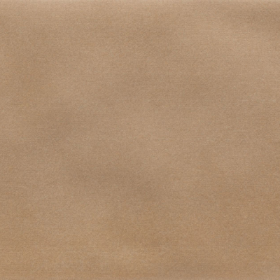 Iris Camel MA