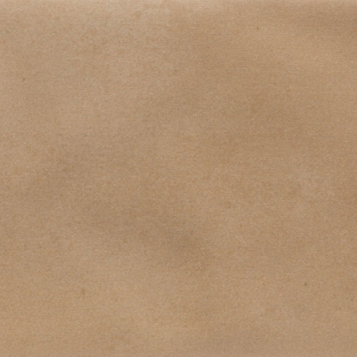 Iris Camel MA
