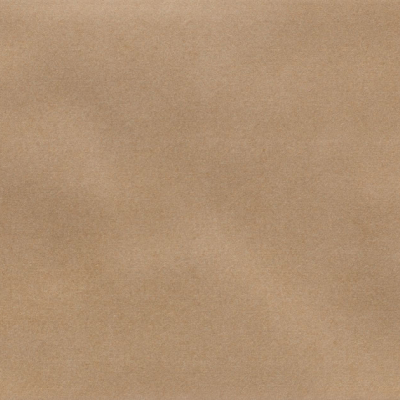 Iris Camel MA