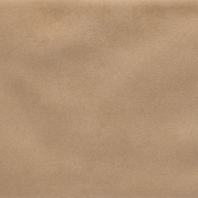 Iris Camel MA