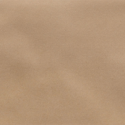 Iris Camel MA
