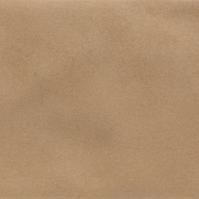 Iris Camel MA