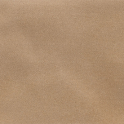 Iris Camel MA