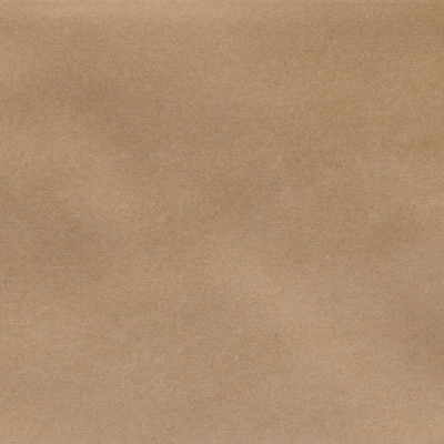Iris Camel MA