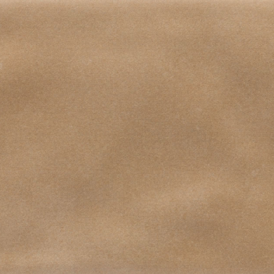 Iris Camel MA