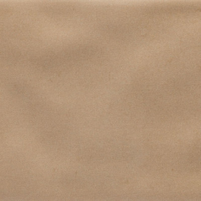 Iris Camel MA